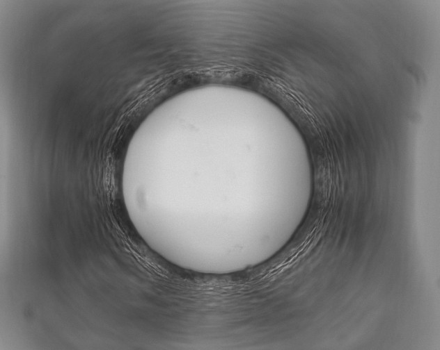 X0000111861058200907231126