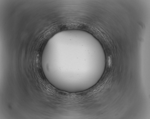 X0000111861059200907231126