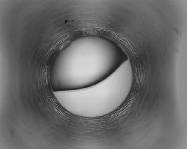 X0000111861060200907231126