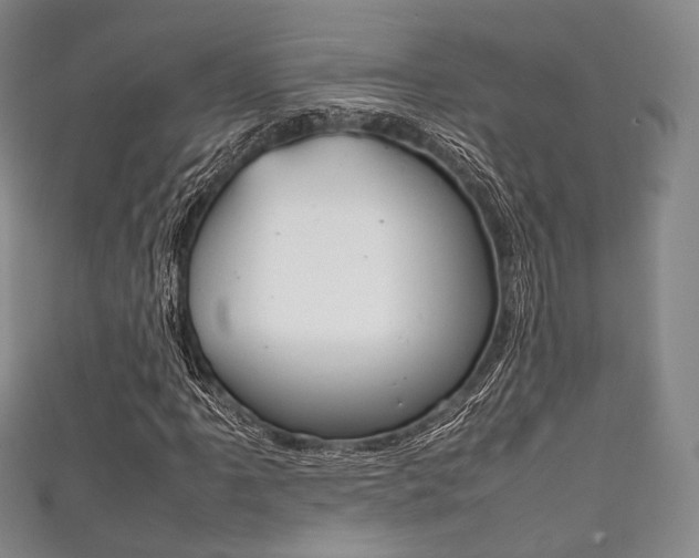 X0000111861061200907231126