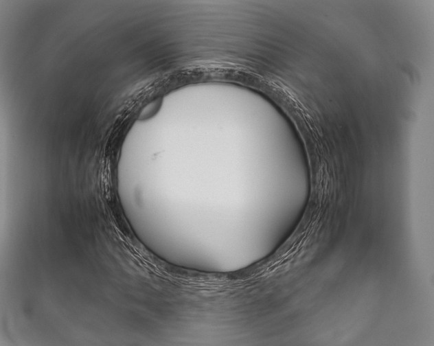 X0000111861062200907231126