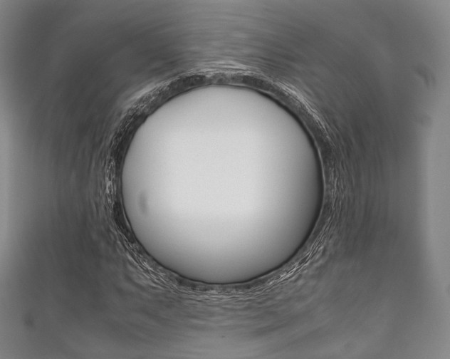 X0000111861063200907231126