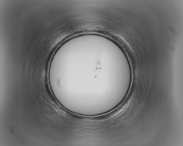 X0000111861065200907231126
