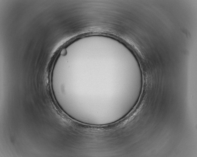 X0000111861070200907231126