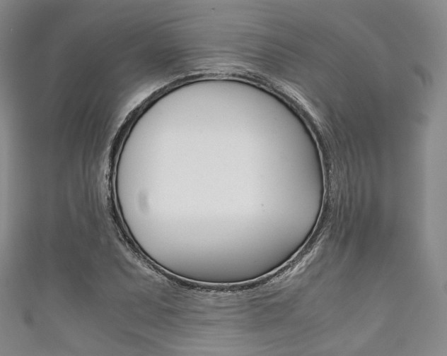X0000111861071200907231126