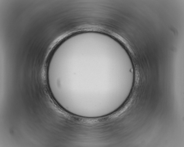 X0000111861074200907231126