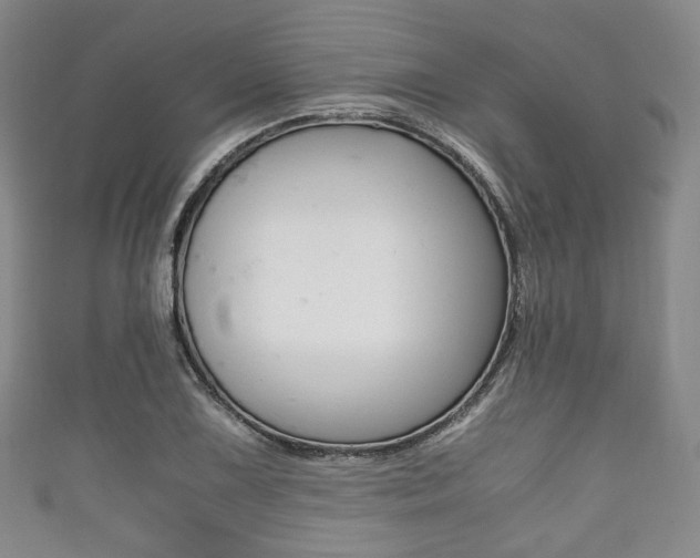 X0000111861075200907231126