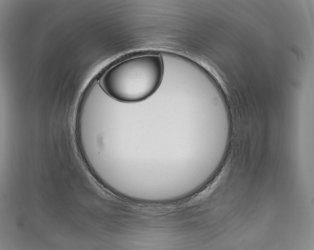 X0000111861077200907231126