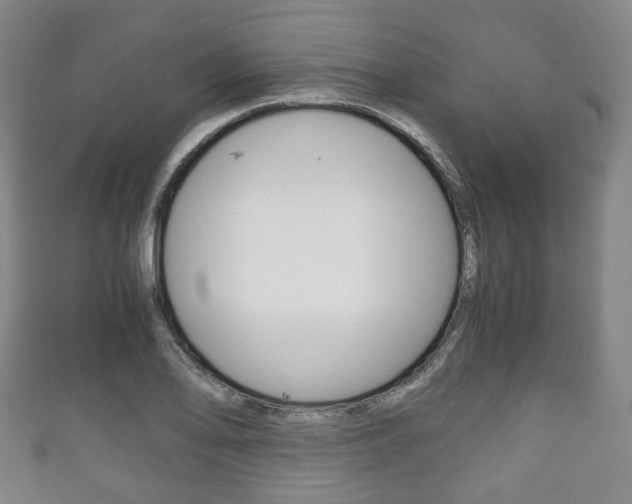 X0000111861078200907231126