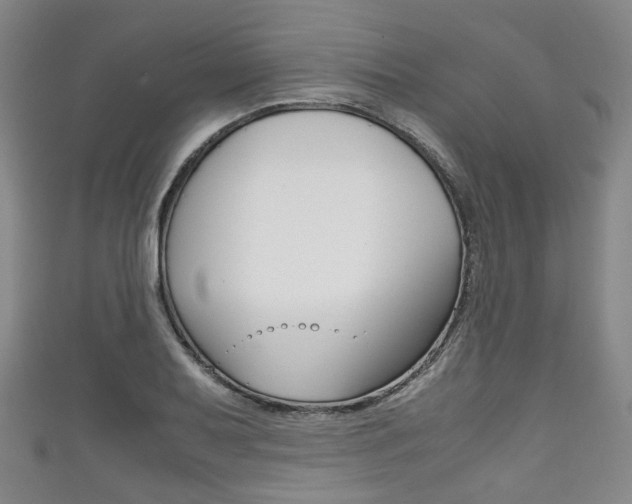 X0000111861079200907231126