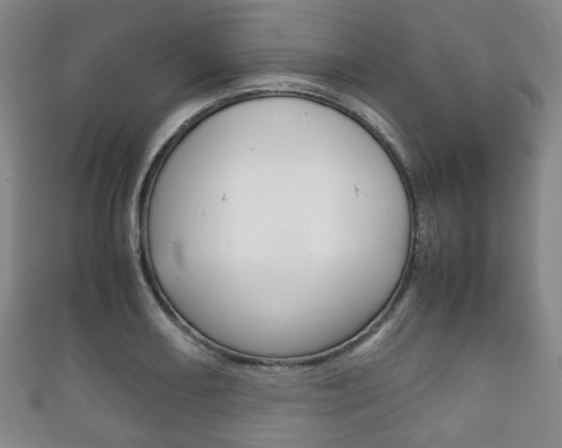 X0000111861082200907231126
