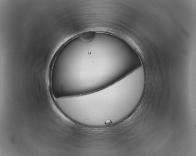 X0000111861084200907231126
