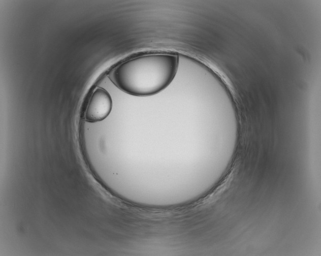 X0000111861085200907231125