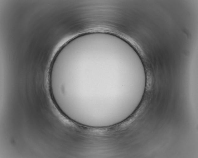 X0000111861086200907231125