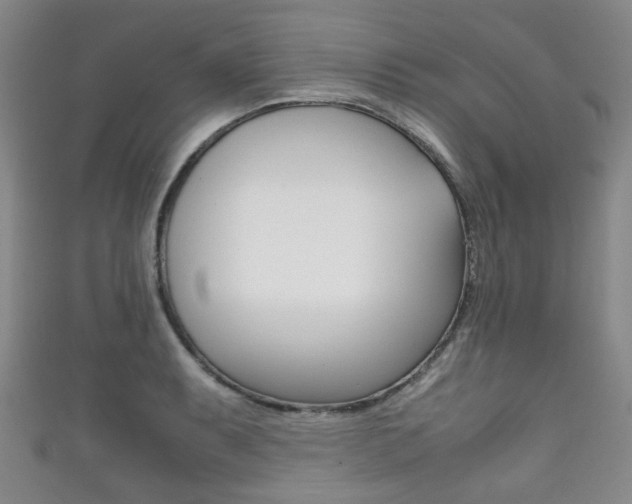 X0000111861087200907231125
