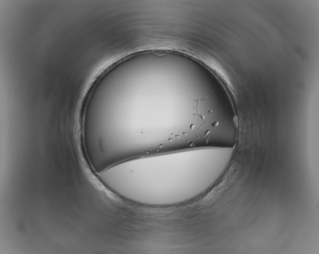 X0000111861088200907231125
