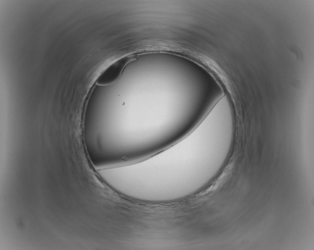 X0000111861089200907231125