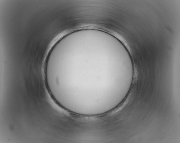 X0000111861090200907231125