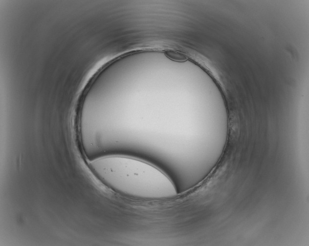 X0000111861091200907231125