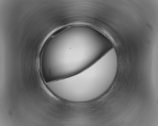 X0000111861092200907231125