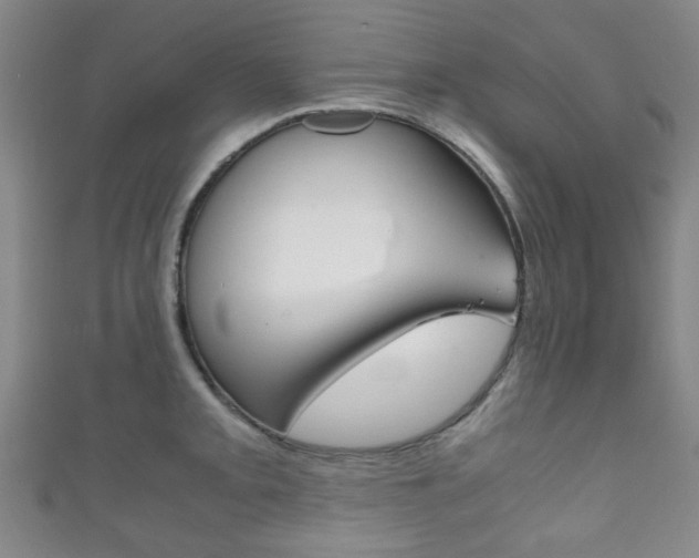 X0000111861093200907231125