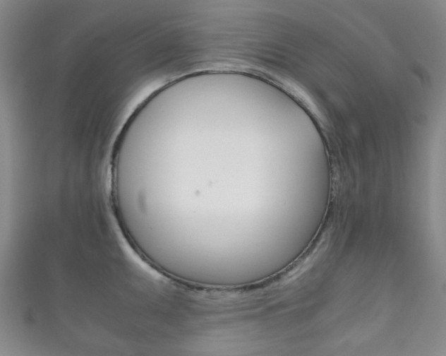 X0000111861095200907231125