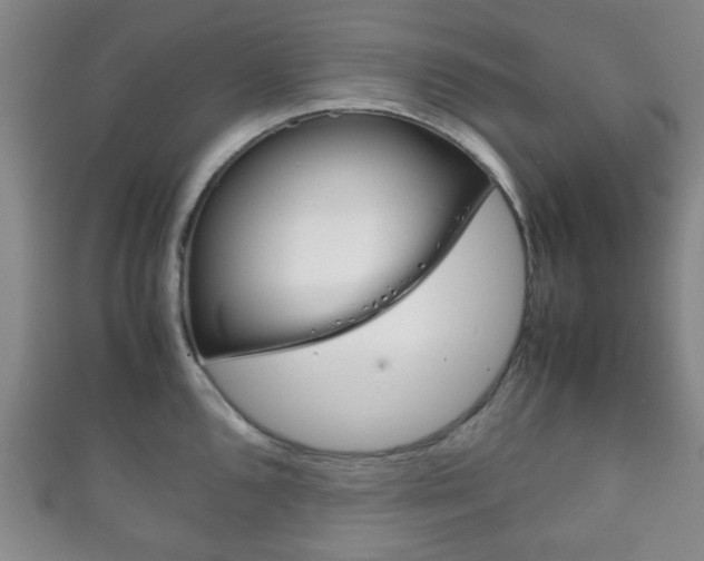 X0000111861096200907231125