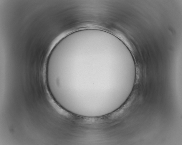 X0000111861098200907231125