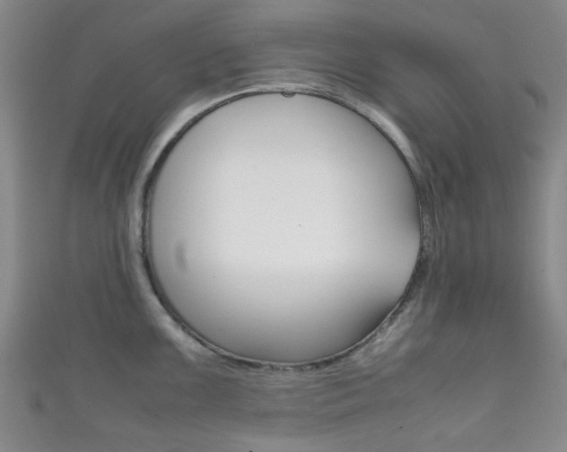 X0000111861099200907231125
