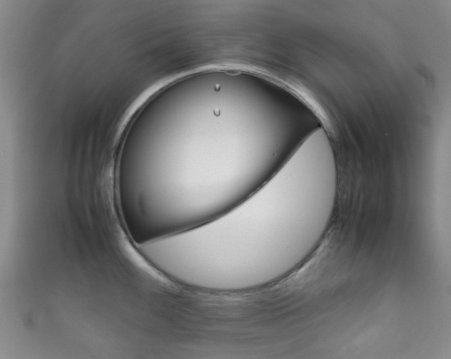 X0000111861100200907231125
