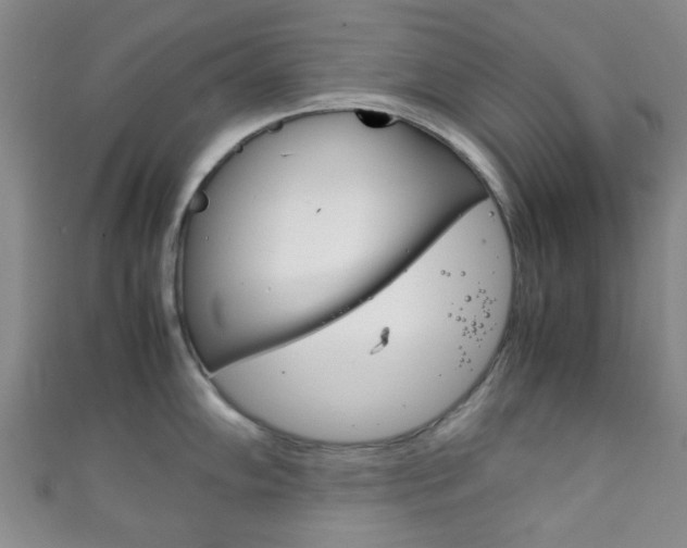 X0000111861102200907231125