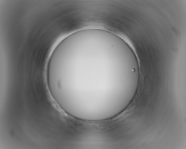 X0000111861104200907231125