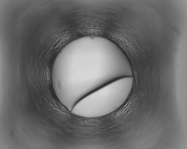 X0000111861107200907231125