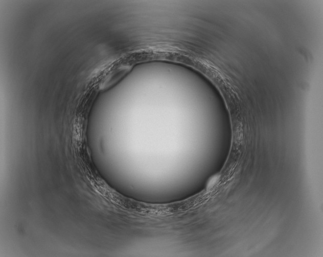 X0000111861110200907231125