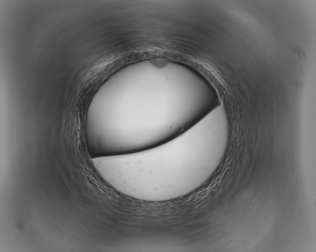 X0000111861111200907231125