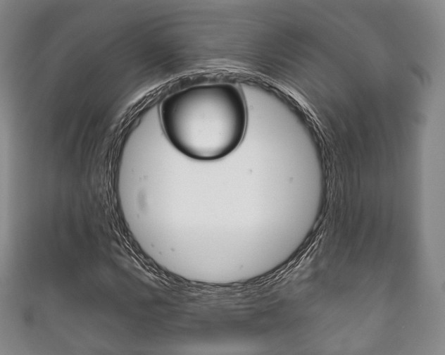 X0000111861112200907231125