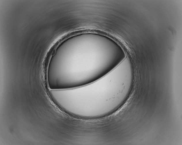 X0000111861118200907231125