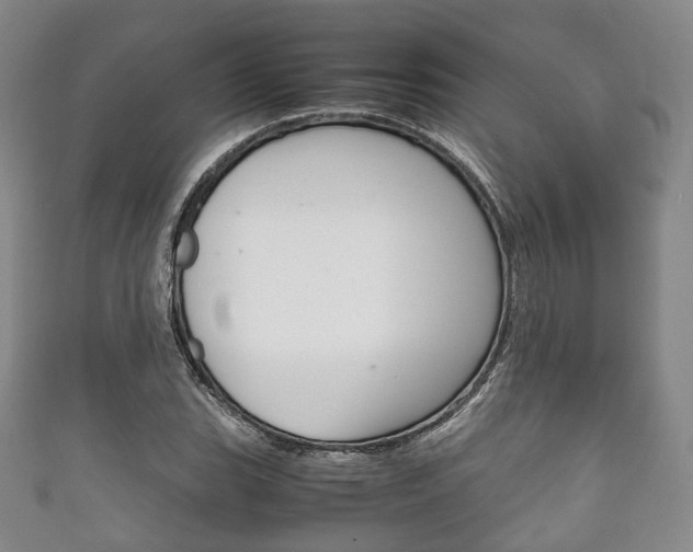 X0000111861119200907231125