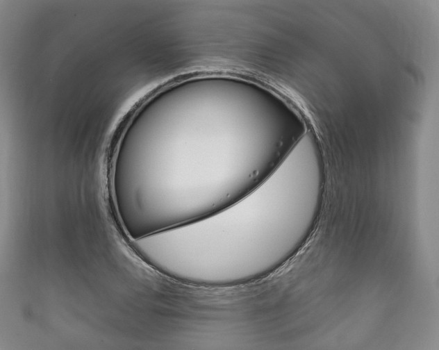 X0000111861120200907231125