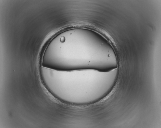 X0000111861122200907231125