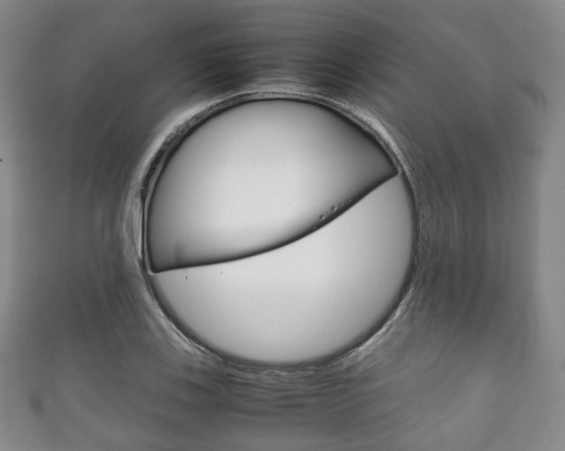 X0000111861123200907231125