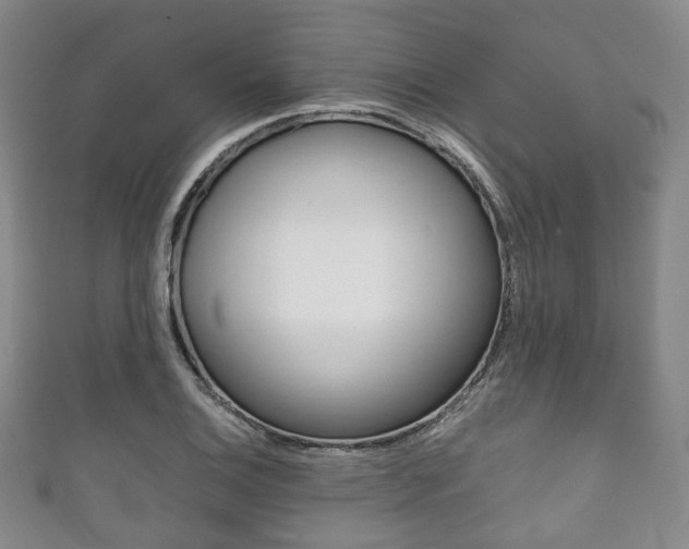 X0000111861124200907231125