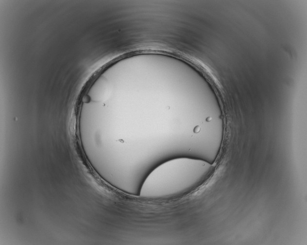 X0000111861125200907231125