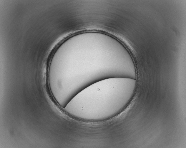 X0000111861126200907231125