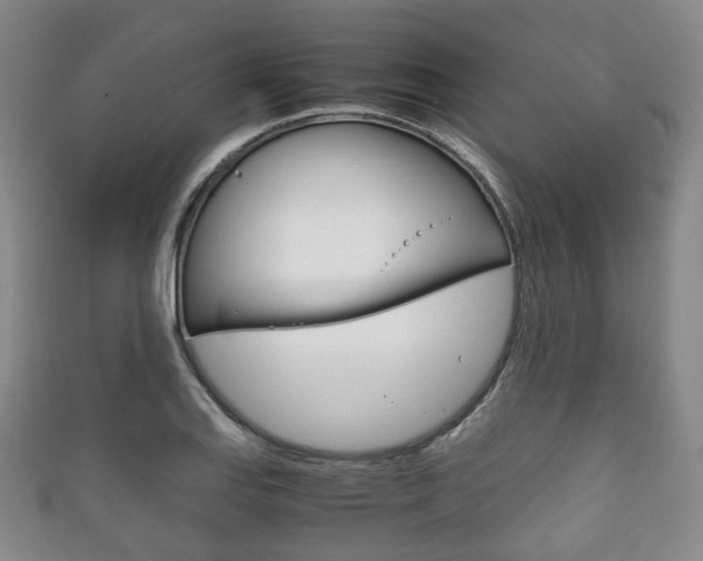 X0000111861127200907231125