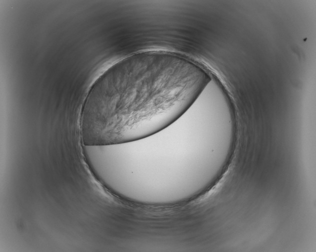 X0000111861129200907231125