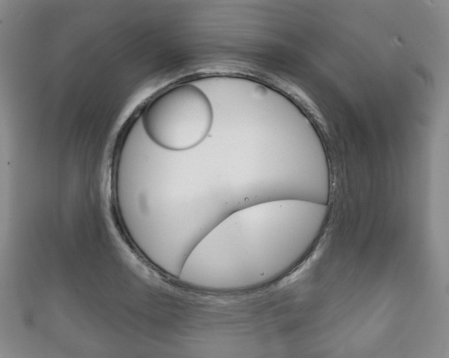 X0000111861130200907231125