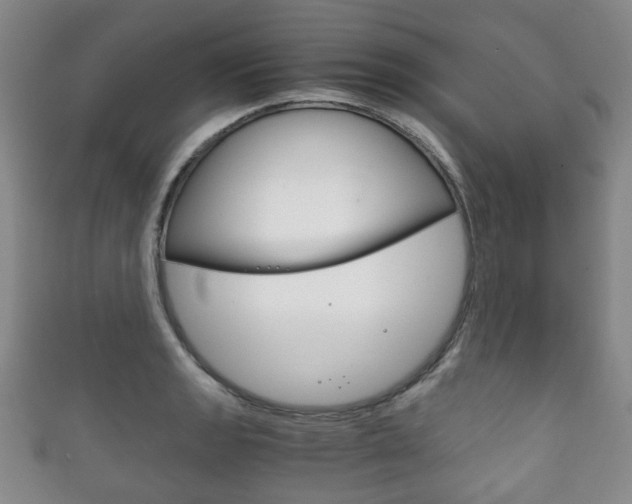 X0000111861133200907231125