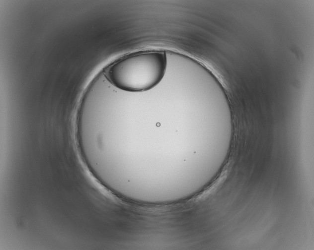 X0000111861134200907231125