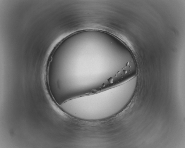 X0000111861136200907231125